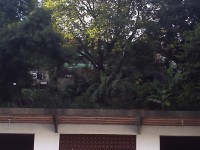 /album/no-dia-da-chuva/imagem-140-jpg/